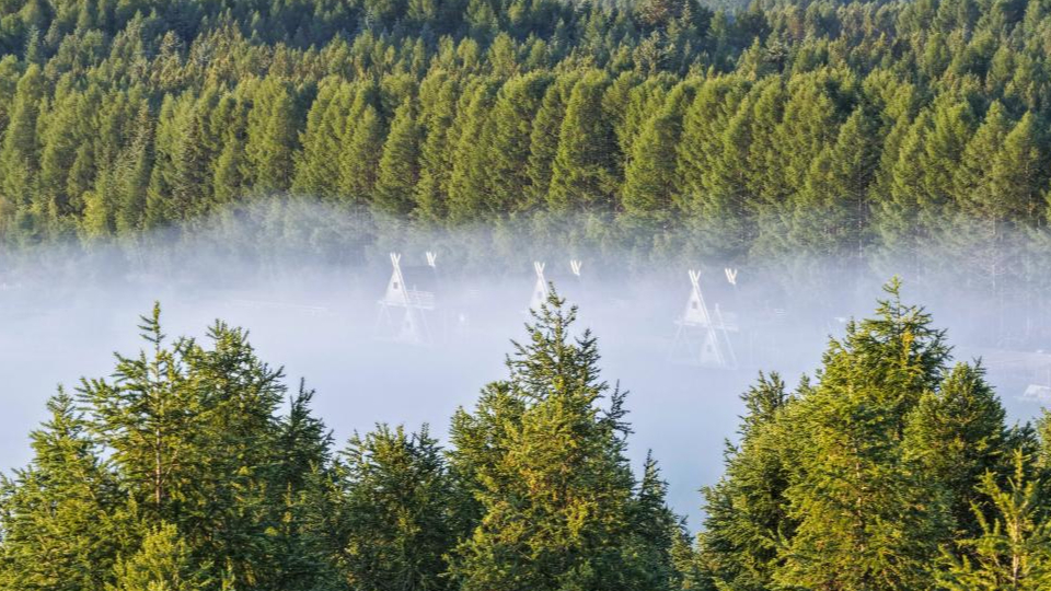 新華鮮報 | 春已至！“植”綠山河