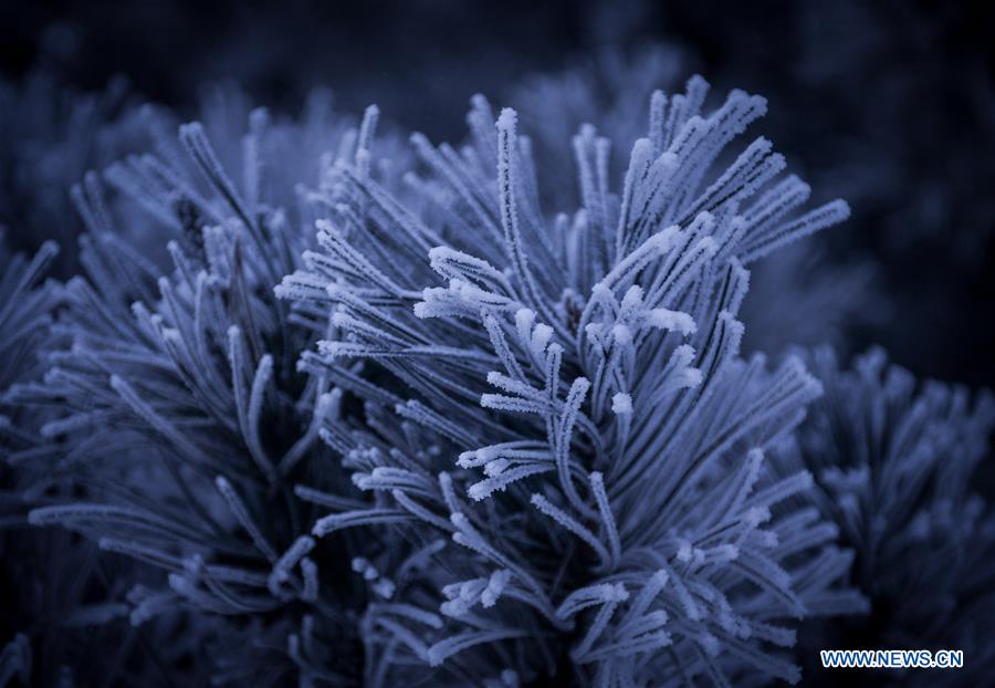 XINHUA PHOTO WEEKLY CHOICES