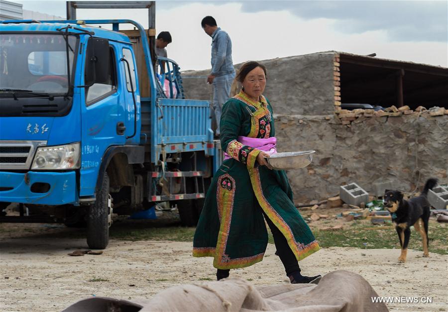 CHINA-INNER MONGOLIA-LIVESTOCK TRANSFER-SUMMER PASTURE (CN)