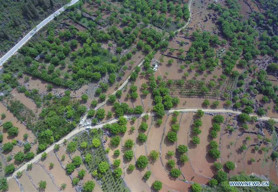 CHINA-YUNNAN-XICHOU COUNTY-POVERTY ALLEVIATION (CN)