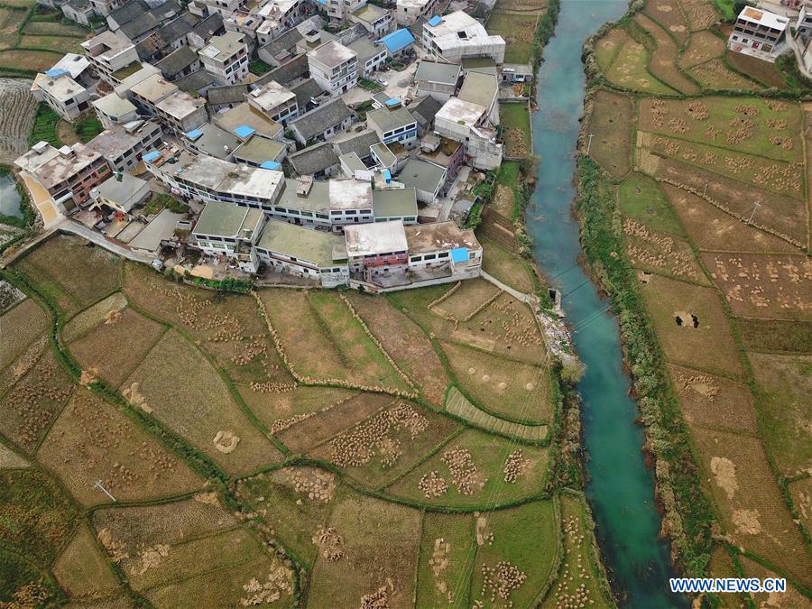 CHINA-GUIZHOU-ANSHUN-AUTUMN SCENERY (CN)