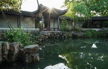 Scenery of gardens in Suzhou, E China's Jiangsu