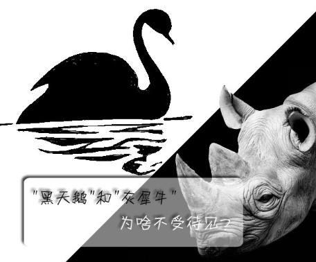"黑天鵝"和"灰犀牛"為啥不受待見？
