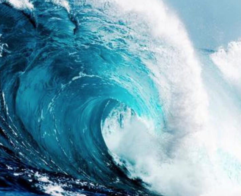 【財經(jīng)翻譯官】浪奔、浪流