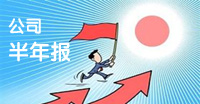 2013上市公司半年報