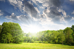 綠增長:環(huán)境問題帶來的新商機(jī)