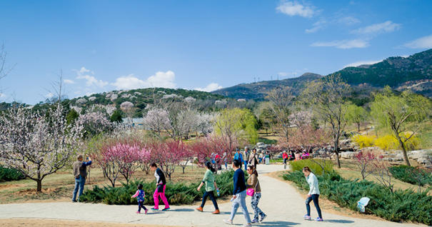 美到無法呼吸！&ldquo;西山晴雪&rdquo;攝影大賽來了