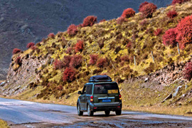 天微涼葉漸黃，最美風(fēng)景是家鄉(xiāng)