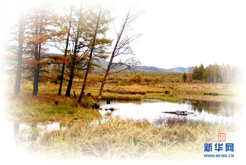 無盡畫意鏡頭中: 野色金秋