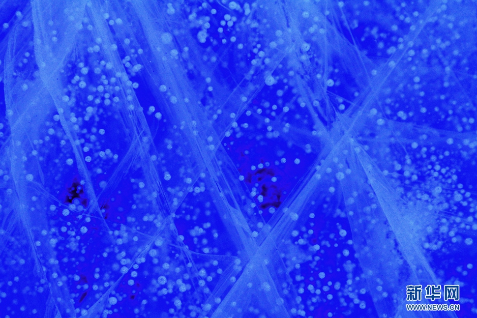 氣泡冰亮晶晶，藍精靈賽繁星