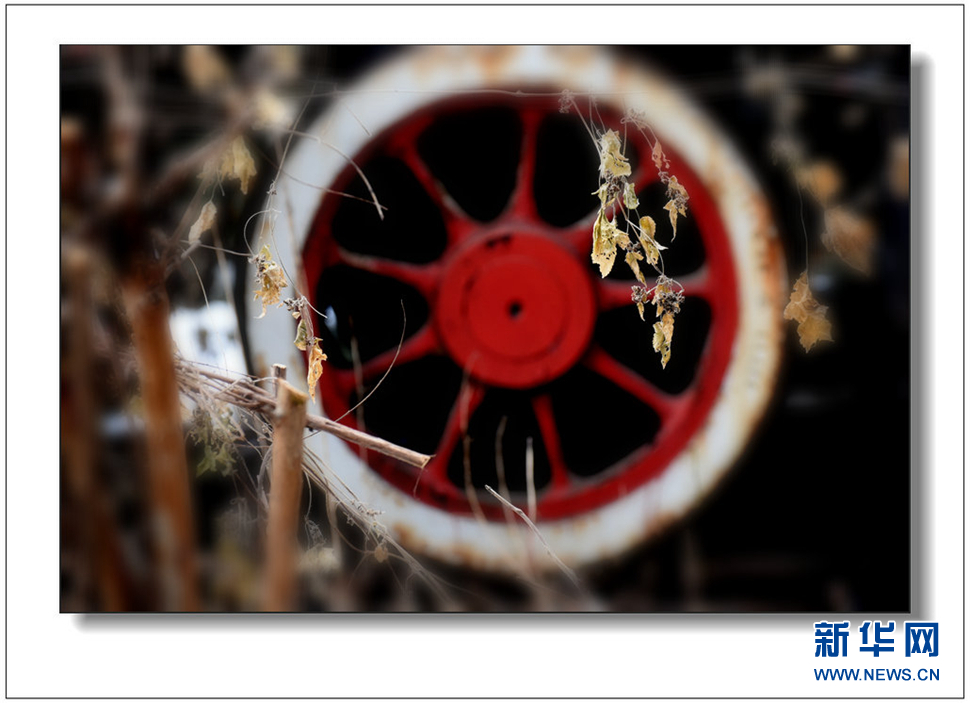 《遺世流年抹滄?！?>	</a></div>
</div>
<div   id=