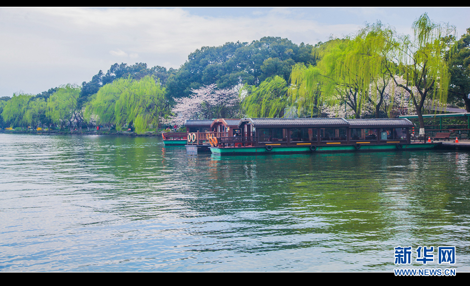 聽風(fēng)西湖柳，聞香龍井茶