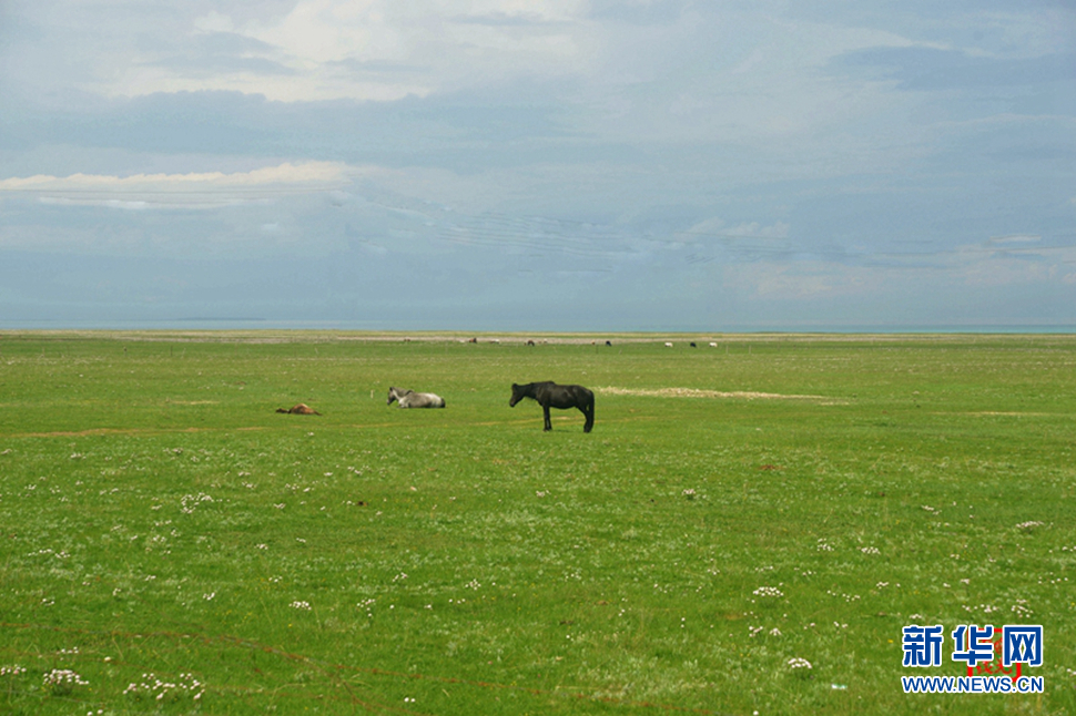高原放歌之那山、那寺、那朵云
