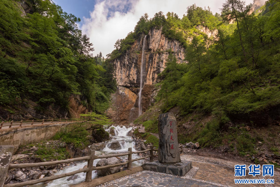 重崖森迥瀑飛先，鵝溝炎夏水風涼