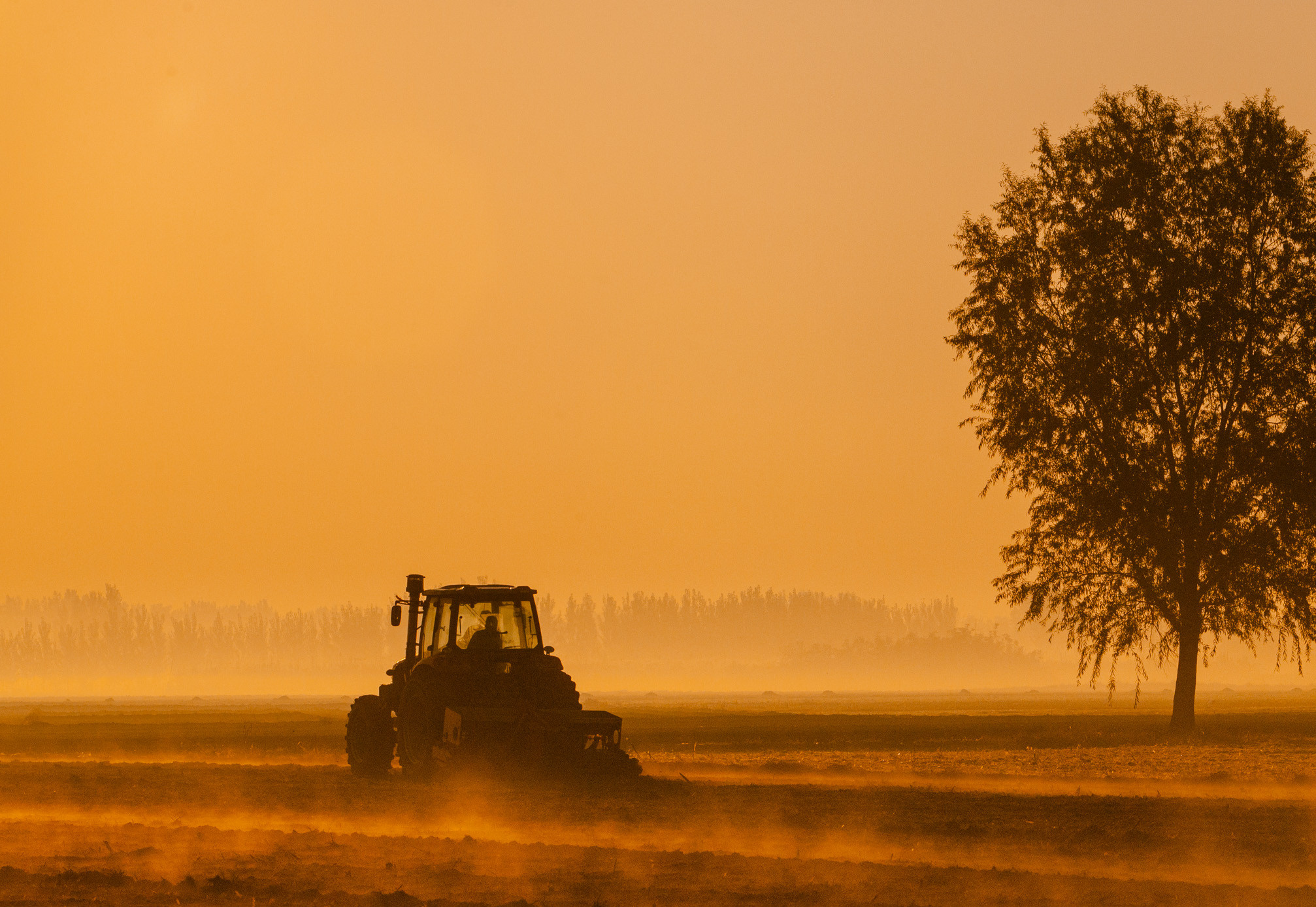 山東農(nóng)業(yè)信貸擔(dān)保公司繪就財(cái)金支農(nóng)惠農(nóng)“新畫卷”