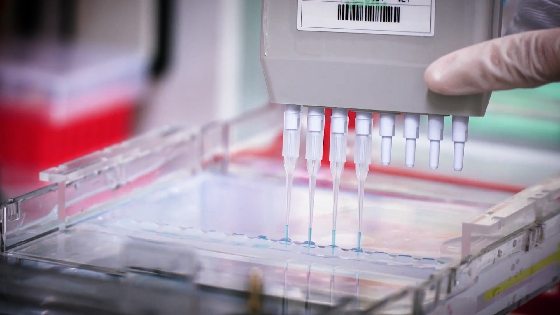 致敬偉大改革｜對(duì)話40年，講述身邊的健康故事32&mdash;打破醫(yī)學(xué)禁區(qū)，探尋生命奇跡