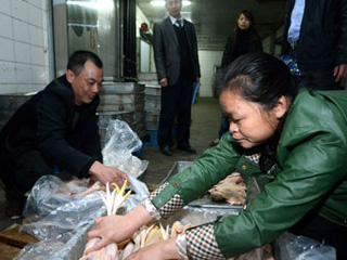 江西宰殺、冷凍積壓禽肉 緩解H7N9禽流感影響