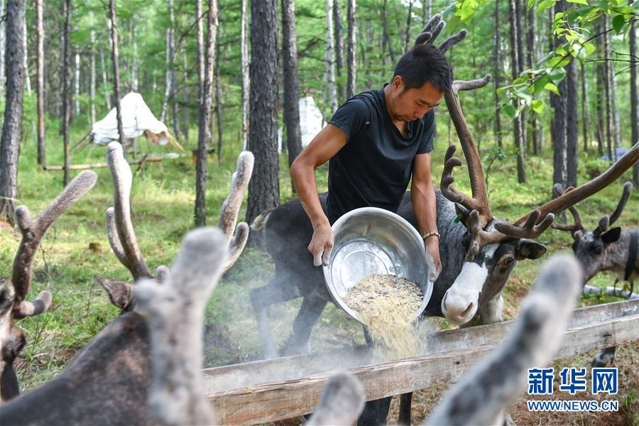 【聚焦脫貧攻堅(jiān)】這組數(shù)字，來(lái)之不易
