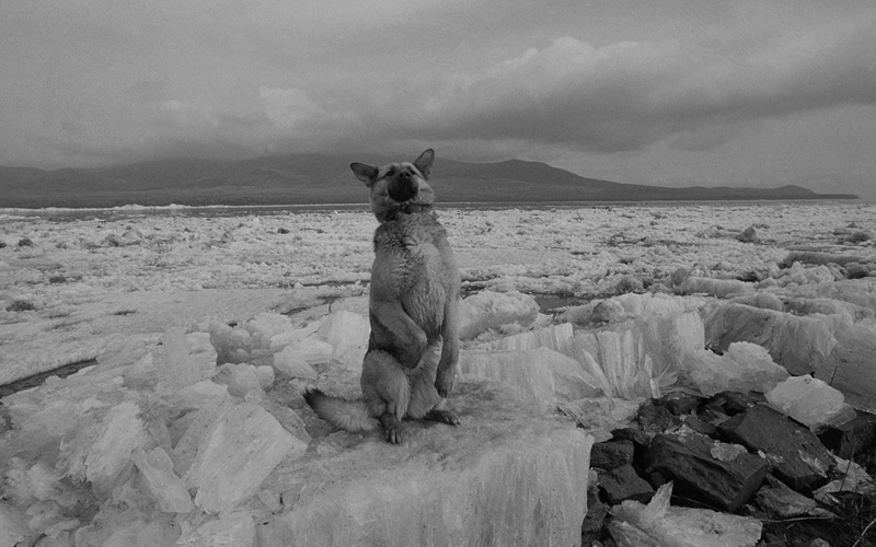 線云強(qiáng)作品:東方第一哨，最早迎接太陽的士兵