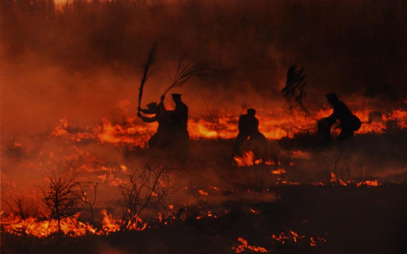 喬天富作品：1987年大興安嶺撲火救災(zāi)