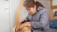 &ldquo;有你在身旁，真好&rdquo;