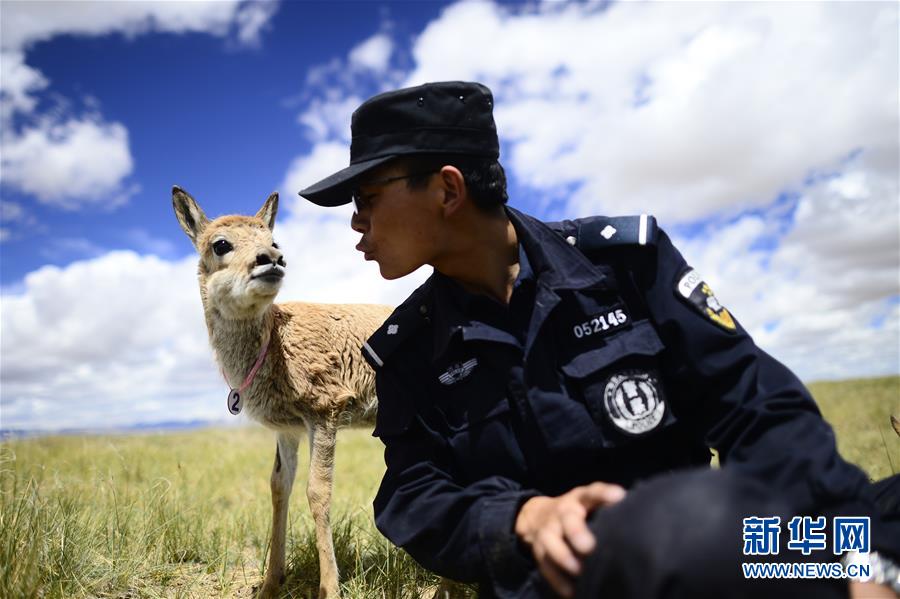 （十九大&middot;讀報告 話民生）（8）加快生態(tài)文明體制改革，建設美麗中國