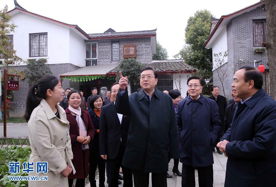 這是11月22日，張德江來到成都郫縣青杠樹村，了解村民委員會(huì)工作情況。 新華社記者 劉衛(wèi)兵 攝 