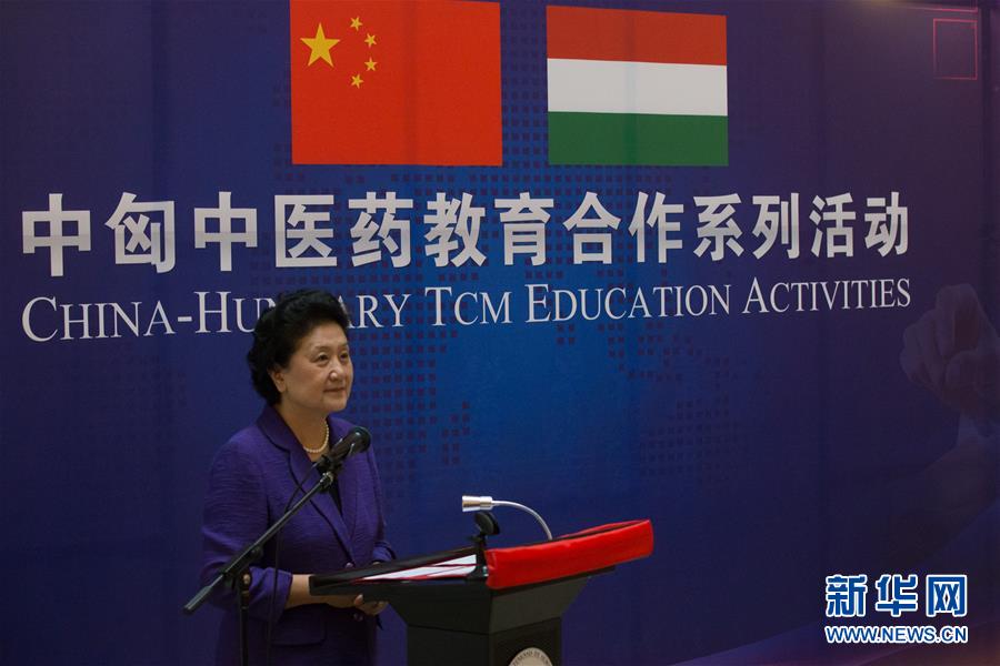 6月18日，在匈牙利布達(dá)佩斯，中國國務(wù)院副總理劉延?xùn)|出席中匈中醫(yī)藥教育合作系列活動時(shí)講話。中國國務(wù)院副總理劉延?xùn)|18日在布達(dá)佩斯考察匈牙利塞梅爾維斯醫(yī)科大學(xué)并出席中匈中醫(yī)藥教育合作系列活動。 新華社發(fā)（弗爾季&middot;奧蒂洛攝）