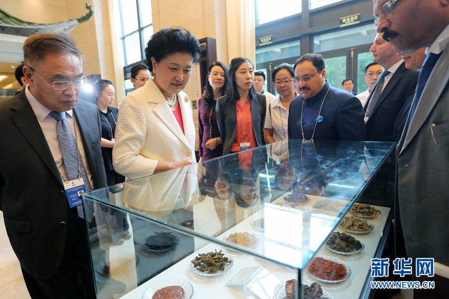 7月6日，金磚國家衛(wèi)生部長(zhǎng)會(huì)暨傳統(tǒng)醫(yī)藥高級(jí)別會(huì)議在天津開幕。這是國務(wù)院副總理劉延?xùn)|與外賓一起參觀傳統(tǒng)醫(yī)藥文化展。 新華社記者 張玉薇 攝