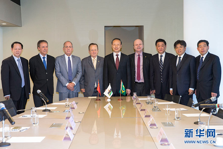 7月11日，在巴西首都巴西利亞，中共中央書(shū)記處書(shū)記、全國(guó)政協(xié)副主席杜青林（中）會(huì)見(jiàn)巴西民主運(yùn)動(dòng)黨總書(shū)記毛羅&middot;洛佩斯（左四）。新華社記者李明攝