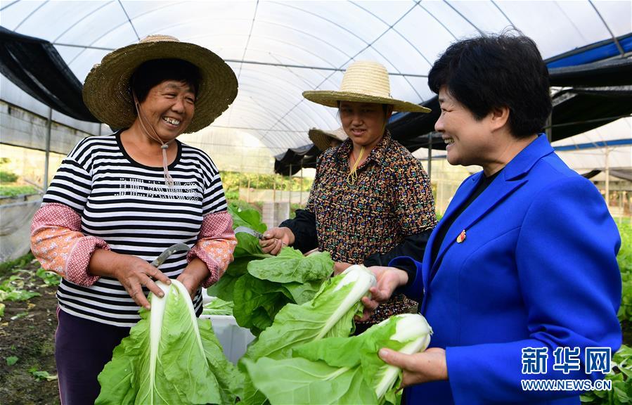 （十九大代表在基層&middot;圖文互動(dòng)）（3）沈騰香：保護(hù)好綠水青山 圓鄉(xiāng)親們小康夢(mèng)