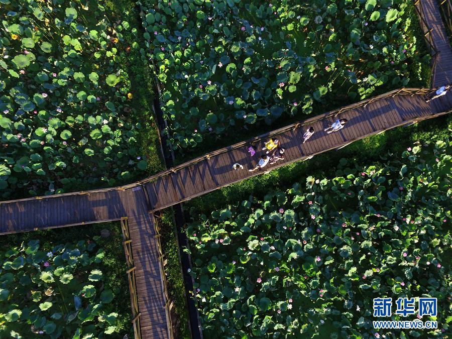 （新時(shí)代新氣象新作為&middot;圖文互動(dòng)）（2）向著小康沖刺&mdash;&mdash;江西脫貧攻堅(jiān)&ldquo;百日行動(dòng)&rdquo;掃描 