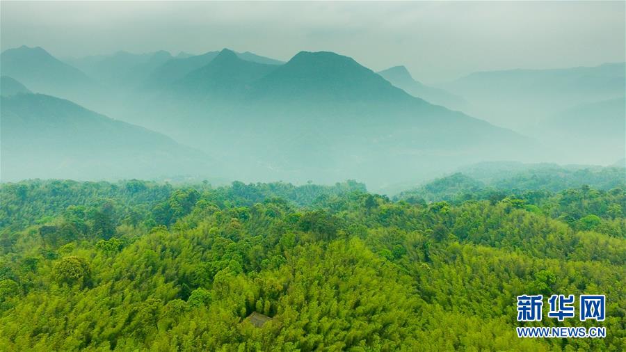 （新華全媒頭條&middot;圖文互動(dòng)）（9）赤水：別了，貧困！