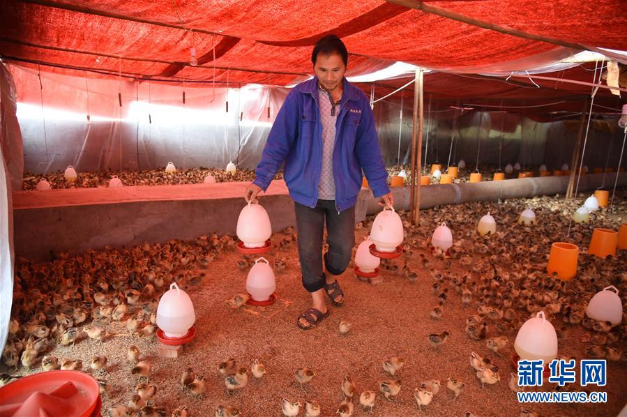 （新華全媒頭條&middot;圖文互動(dòng)）（8）赤水：別了，貧困！