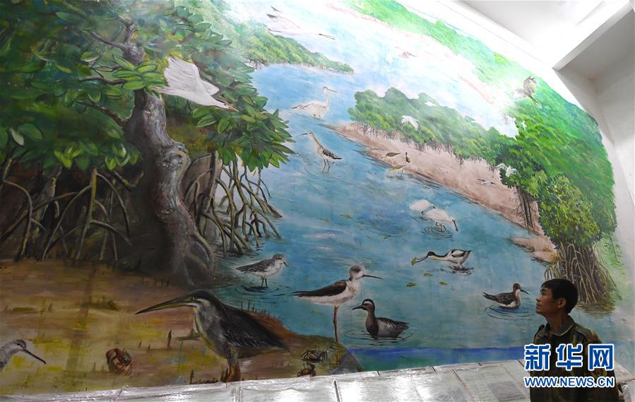 （圖文互動(dòng)）（5）十年樹木、紅樹成林&mdash;&mdash;&ldquo;海上森林&rdquo;回歸記