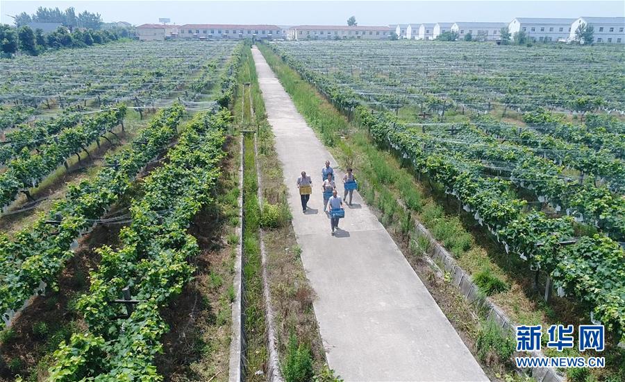 （新華全媒頭條&middot;紀(jì)念改革開放40年特稿&middot;圖文互動(dòng)）（5）向著新航程揚(yáng)帆奮進(jìn)！&mdash;&mdash;從小崗精神看中國(guó)改革開放40年