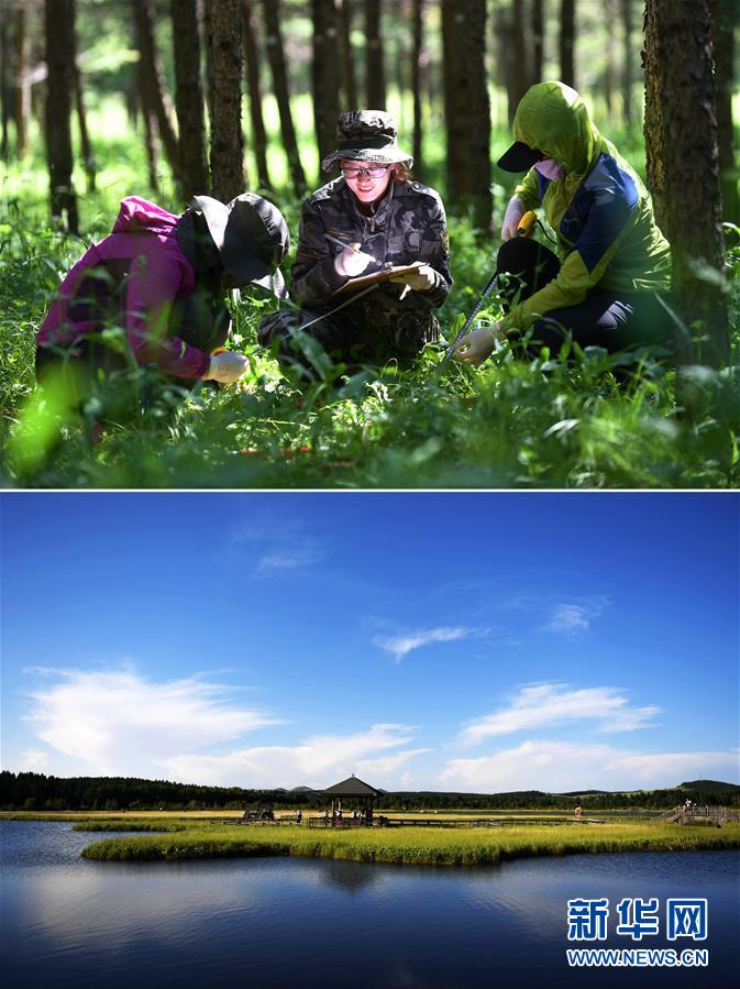 （新華全媒頭條&middot;圖文互動(dòng)）（4）領(lǐng)航新時(shí)代中國經(jīng)濟(jì)航船&mdash;&mdash;從中央財(cái)經(jīng)領(lǐng)導(dǎo)小組會(huì)議看以習(xí)近平同志為核心的黨中央駕馭中國經(jīng)濟(jì)