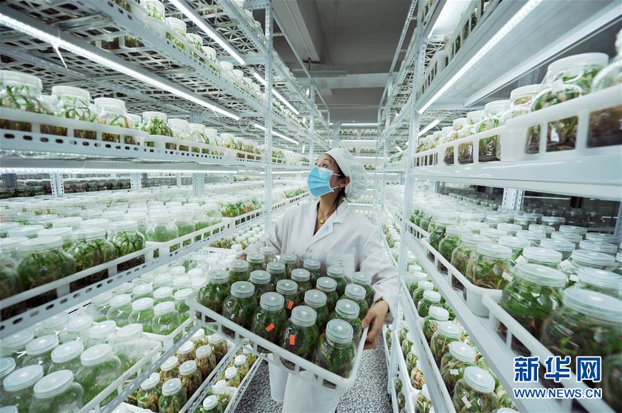 (新華全媒頭條·兩會精神看落實·圖文互動)(1)適應發(fā)展新方位 奮進決勝長征路