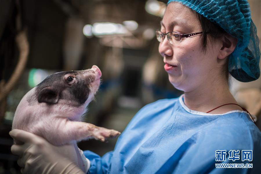 (鏡觀中國·新華網(wǎng))(13)新華社國內(nèi)照片一周精選