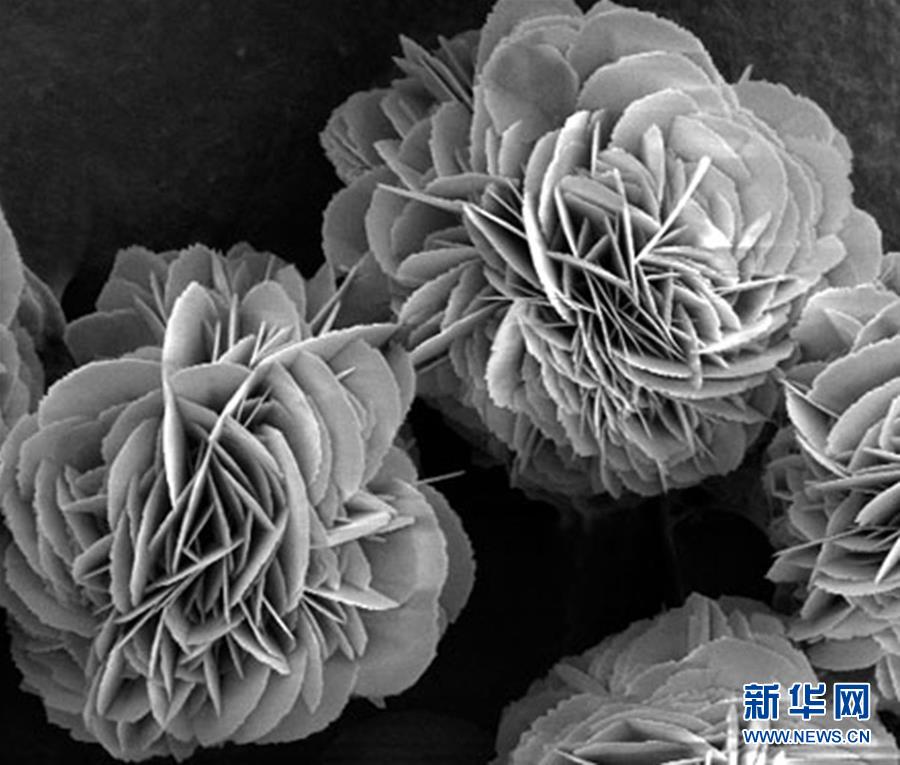 （新時代奮斗者&middot;圖文互動）（3）&ldquo;美麗發(fā)現(xiàn)&rdquo;之路&mdash;&mdash;記青年化學家戈鈞