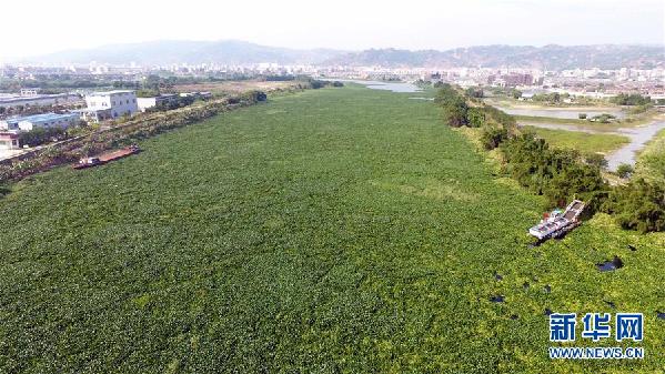 （圖文互動）（1）&ldquo;白練&rdquo;變&ldquo;黑龍&rdquo;，江河變&ldquo;草原&rdquo;－－粵東母親河為何污染20多年難治理？