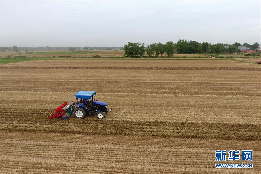 （經(jīng)濟(jì)）（2）搶抓農(nóng)時(shí)夏種忙