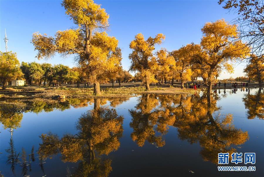 （壯闊東方潮 奮進新時代&mdash;&mdash;慶祝改革開放40年）（14）美麗中華大地書寫綠色傳奇