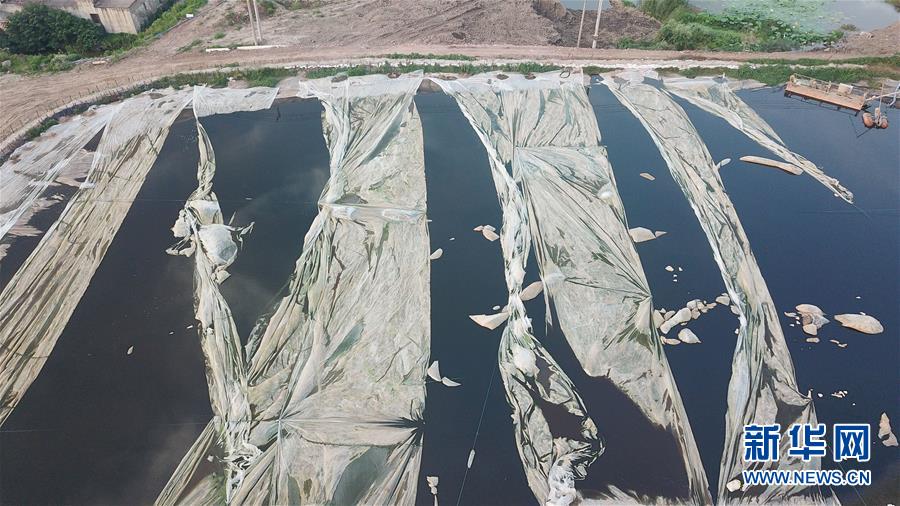 （新華視點(diǎn)&middot;圖文互動(dòng)）（4）中央督察兩年有的絲毫未改，有的不減反增&mdash;&mdash;江蘇泰興數(shù)萬噸化工廢料和污泥堆放長江邊調(diào)查