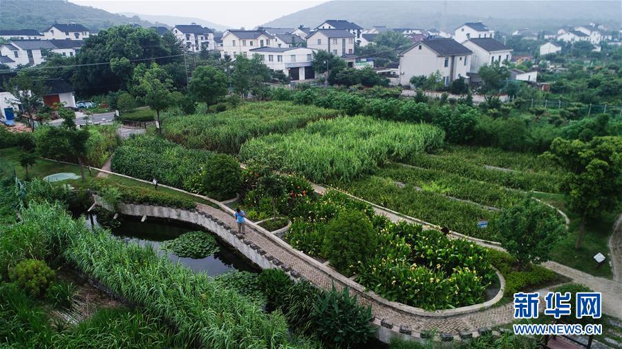 （在習(xí)近平新時(shí)代中國(guó)特色社會(huì)主義思想指引下&mdash;&mdash;新時(shí)代新作為新篇章&middot;圖文互動(dòng)）（1）稀奇！治污濕地成了休閑公園&mdash;&mdash;江蘇蘇州全域推進(jìn)農(nóng)村生活污水治理