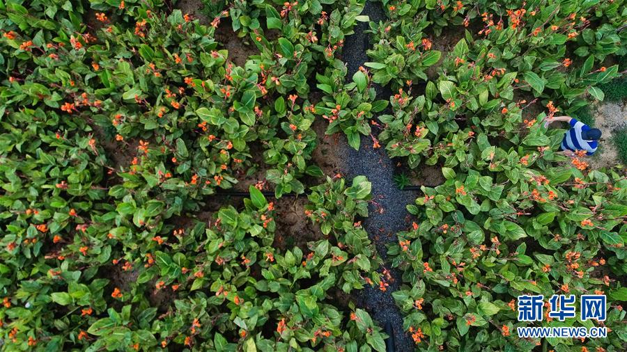 （在習(xí)近平新時代中國特色社會主義思想指引下&mdash;&mdash;新時代新作為新篇章&middot;圖文互動）（5）稀奇！治污濕地成了休閑公園&mdash;&mdash;江蘇蘇州全域推進農(nóng)村生活污水治理