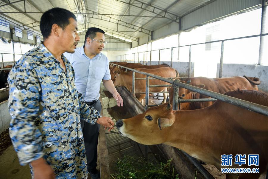 （脫貧攻堅(jiān)&middot;圖文互動(dòng)）（2）&ldquo;不畏難、不畏煩、不畏苦&rdquo;&mdash;&mdash;記&ldquo;80后&rdquo;扶貧干部李朝陽(yáng)