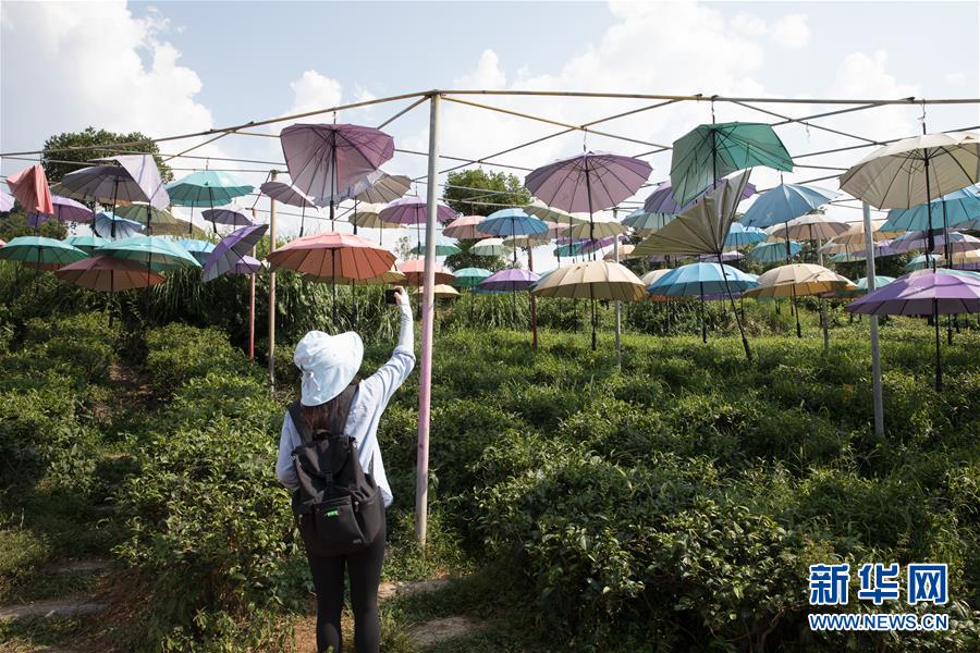 （大江奔流&mdash;&mdash;來自長江經(jīng)濟帶的報道&middot;圖文互動）（4）在這里，做一個幸福的農(nóng)民