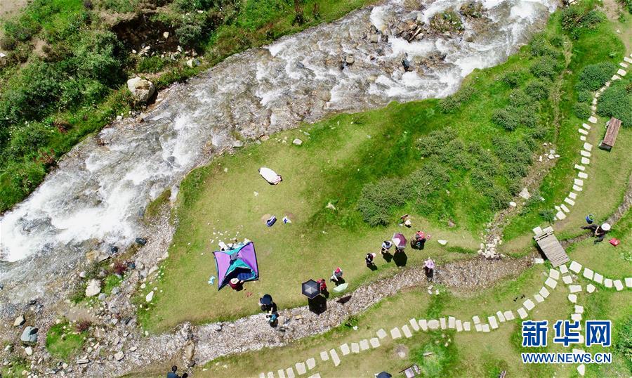 （社會(huì)）（8）夏日&ldquo;過(guò)林卡&rdquo; 親近大自然