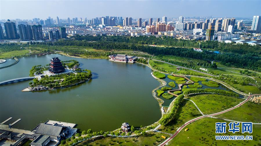 (壯闊東方潮 奮進(jìn)新時代——慶祝改革開放40年)(1)感受“毛烏素”的生機(jī)